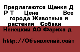 Предлагаются Щенки Д.Р.Т.  › Цена ­ 15 000 - Все города Животные и растения » Собаки   . Ненецкий АО,Фариха д.